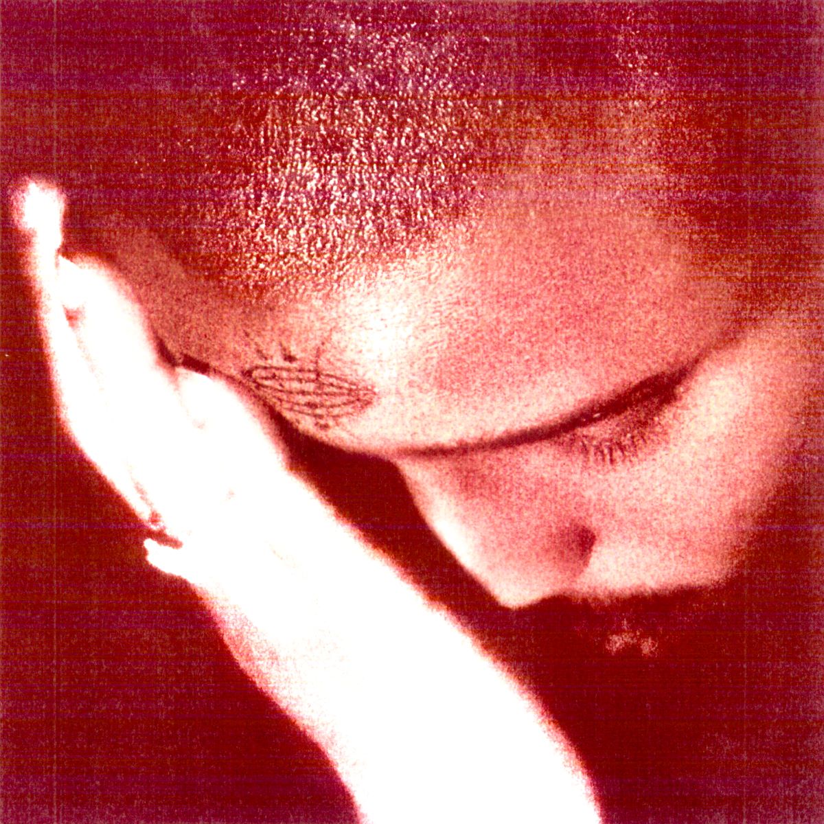 Nourished By Time - The Passionate Ones CD