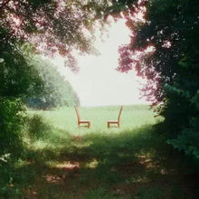 Load image into Gallery viewer, Ratboys - Singin' To An Empty Chair