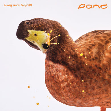 POND - The Early Years: 2008 - 2010 (RSD 2025)