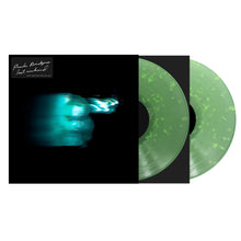 Load image into Gallery viewer, Phoebe Bridgers - Lost Weekend