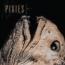 Load image into Gallery viewer, Pixies - Complete B-Sides: 1988-97 CD