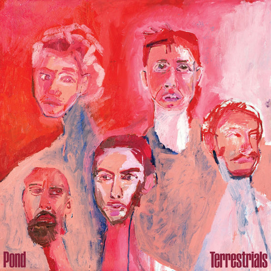 Pond - Terrestrials CD