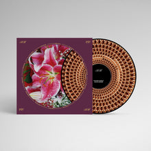 Load image into Gallery viewer, Richard Hawley - Coles Corner (20th Anniversary Half Speed Master Zoetrope Vinyl)