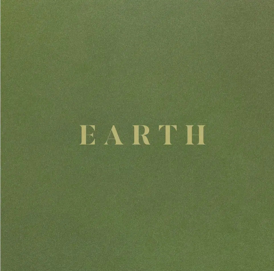 Sault - Earth