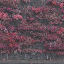 Load image into Gallery viewer, Sleep Token - Even in Arcadia (Retail Exclusive Hint of Blue 2LP)