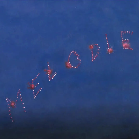 Slow Pulp - Melodie