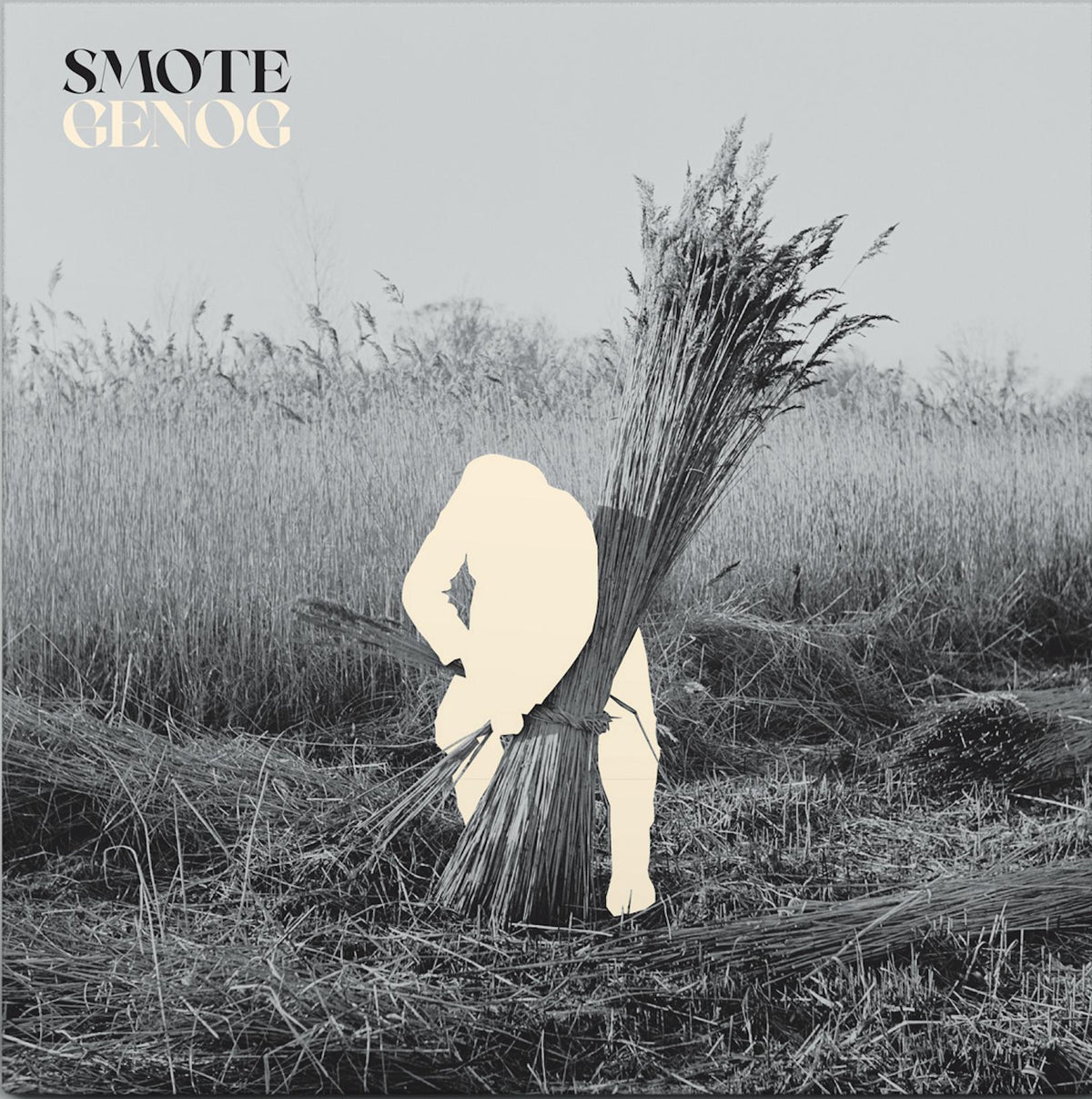 Smote - Genog