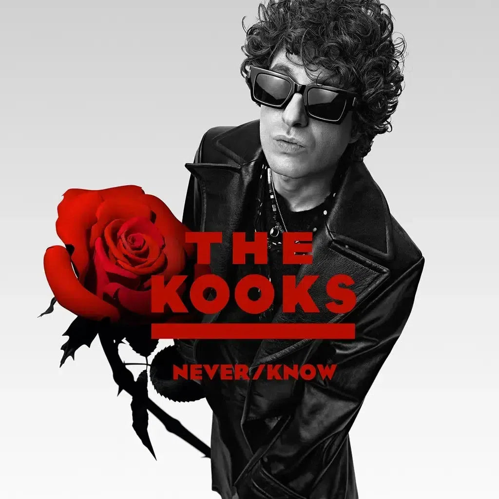 Sold Out - The Kooks - Never / Know - Vinilo Outstore (Southampton)