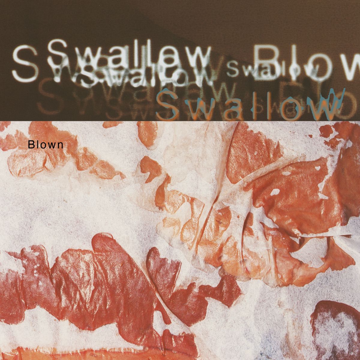 Swallow - Blown