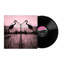 Load image into Gallery viewer, The Afghan Whigs - Soft Control