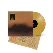 Load image into Gallery viewer, The Besnard Lakes - The Besnard Lakes are the Ghost Nation