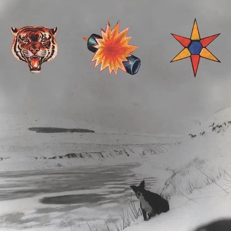 The Beta Band - The Three EPs