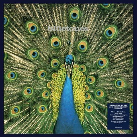 The Bluetones - Expecting to Fly