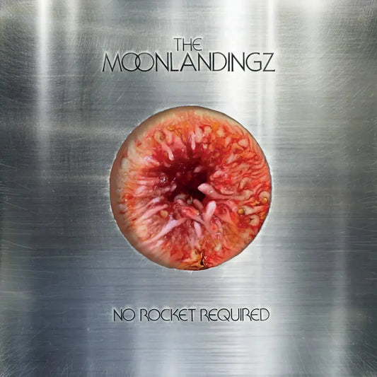 The Moonlandingz - No Rocket Required CD