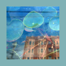 Load image into Gallery viewer, The Reds, Pinks and Purples - Acknowledge Kindness