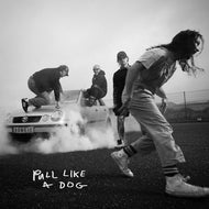 The Scratch - Pull Like a Dog CD