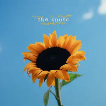 The Snuts - Joy In Short Moments CD