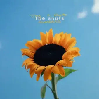 The Snuts - Joy In Short Moments CD