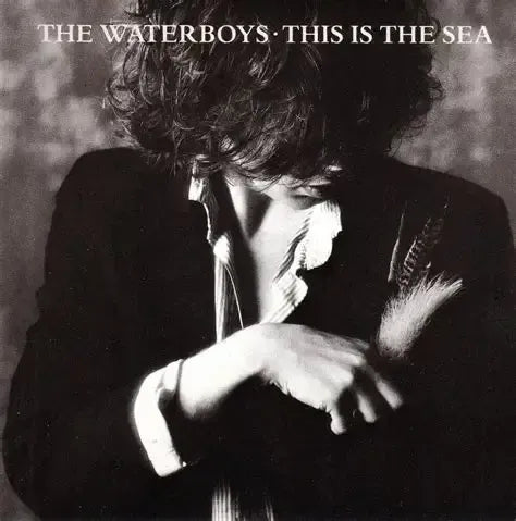 The Waterboys - This is The Sea