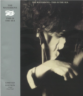 The Waterboys - This is The Sea