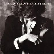 The Waterboys - This is The Sea