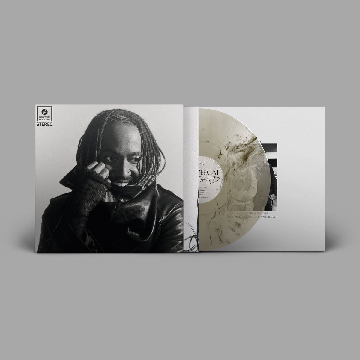 Thundercat - Distracted