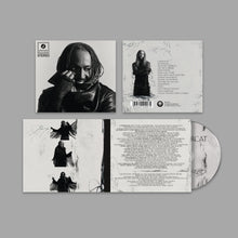 Load image into Gallery viewer, Thundercat - Distracted CD