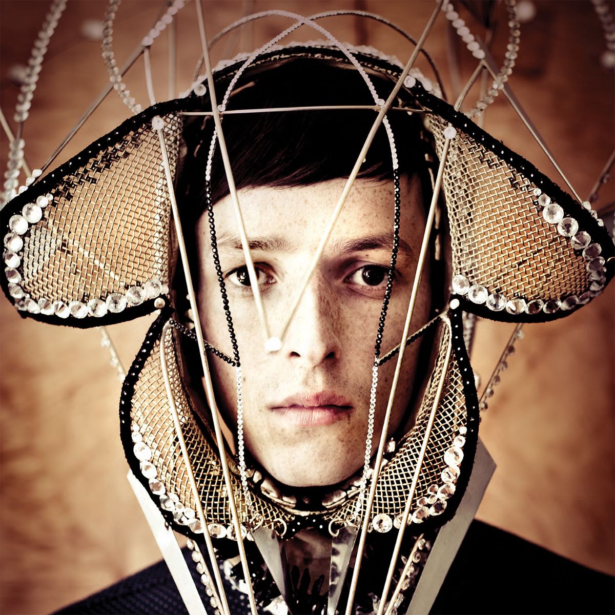 Totally Enormous Extinct Dinosaurs - Trouble