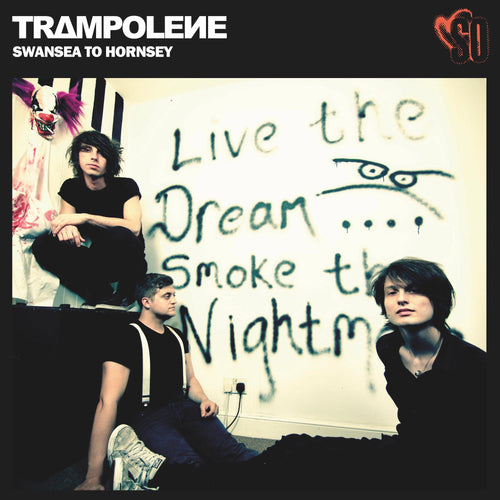 Trampolene - Swansea to Hornsea