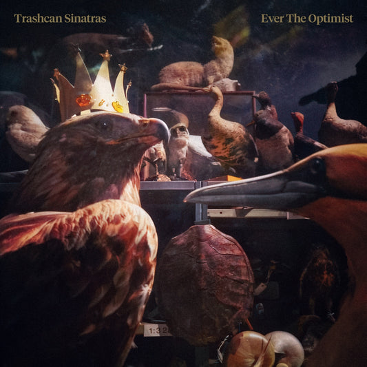 Trashcan Sinatras - Ever The Optimist
