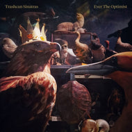 Trashcan Sinatras - Ever The Optimist