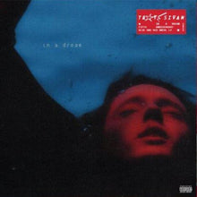 Load image into Gallery viewer, Troye Sivan - In A Dream