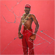 Tyler, The Creator - Don't Tap the Glass