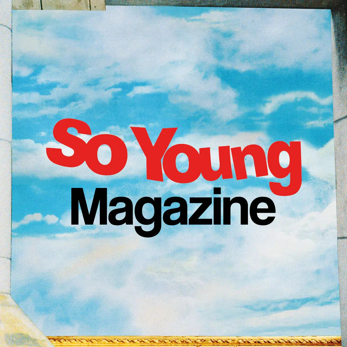 Various - 10 Years Of So Young Magazine