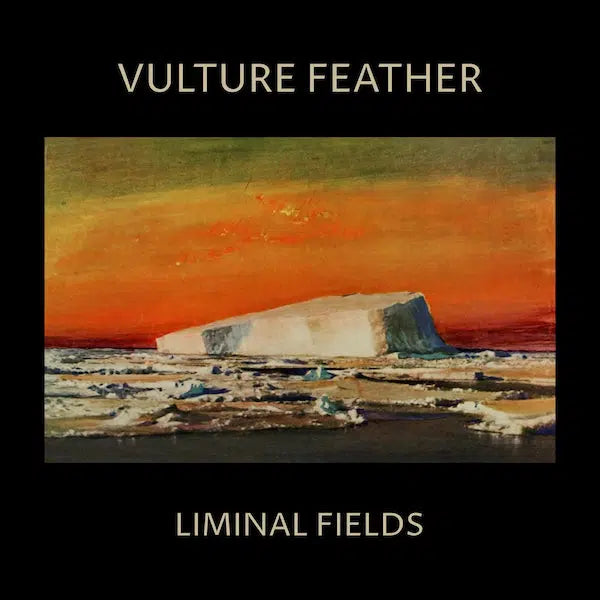 Vulture Feather Liminal Fields Vinilo Record Store