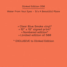 Load image into Gallery viewer, WATER FROM YOUR EYES - It’s A Beautiful Place
