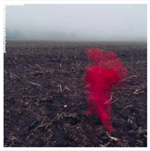 Will Varley - The Hole Around My Head (Signed)