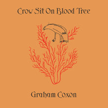 Load image into Gallery viewer, Graham Coxon - Crow Sit On Blood Tree
