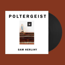 Cargar imagen en el visor de la galería, Sam Herlihy - Poltergeist