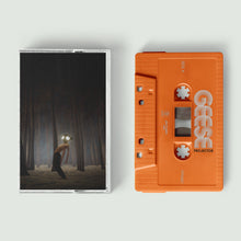 Load image into Gallery viewer, Geese - Projector