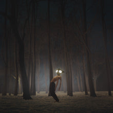 Load image into Gallery viewer, Geese - Projector (Opaque Orange)