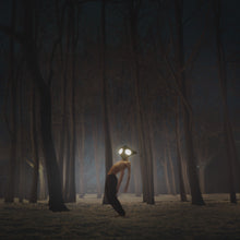 Load image into Gallery viewer, Geese - Projector