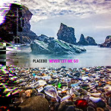 Load image into Gallery viewer, Placebo - Never Let Me Go