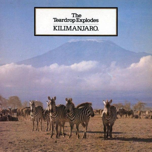 The Teardrop Explodes ‎– Kilimanjaro