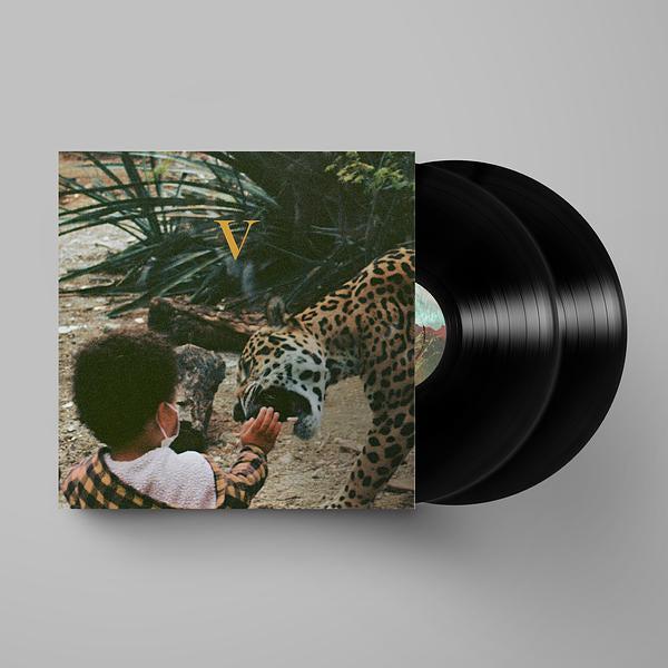Unknown Mortal Orchestra - V
