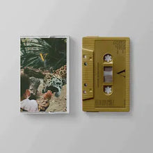Load image into Gallery viewer, Unknown Mortal Orchestra - V